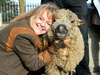 Sheep breeder Montana Jones pets "Murdoch" the Shropshire sheep, who is owned by her friend and supporter Elwood Quinn, after having her criminal charges dismissed by the Ontario Superior Court in Newmarket, Ontario on Monday, Nov. 28, 2016.