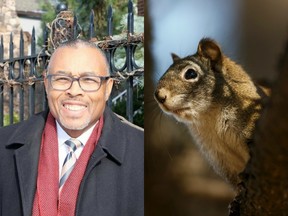 Howard Brookins Jr. was hospitalized when a squirrel wrapped itself around his bicycle in a "freak accident."