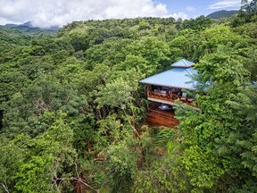 An aerial view of treehouse lodging at Secret Bay Resort in Dominica.