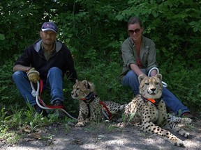 Earl Pfeifer and Carol Plato  in a Facebook photo from their group Run Cheetah Run. The pair face a provincial charge in B.C. for keeping a cheetah illegally in that province.