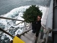 Steve Hnatko, of Tymac Tidal Transport, carries a Christmas tree up the gangway of the container ship Hanjin Scarlet during a visit by volunteers delivering donated food and gifts to the stranded crew, near Saturna Island, B.C., on December 20, 2016.