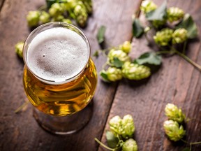 Hops add flavour and aroma to beer, and help preserve it.