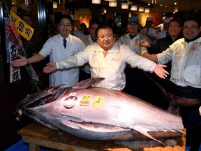 Kiyoshi Kimura, president of sushi restaurant chain Sushi-Zanmai, poses with a 212-kilogram bluefin tuna at his main restaurant near the Tsukiji fish market in Tokyo on January 5, 2017.  The bluefin tuna was traded at 74.2 million yen (about $849,000 Canadian) at the wholesale market on the first trading day of the new year.