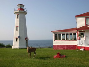 Anticosti Island has just over 200 permanent residents and an abundance of deer.