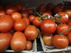 Pale, flavourless and mealy, the grocery-store tomato can leave much to be desired.