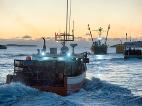 Lobster boats head from West Dover, N.S. on Nov. 29, 2016 as the lucrative lobster fishing season on Nova Scotia's South Shore opens.