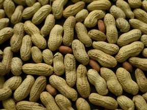 Good news for the estimated 700,000 Canadians who have a peanut allergy.