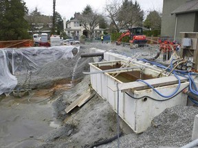 Nearly 2 million litters of fresh water spills each day from an accidental breach of a water aquifer at a house under construction at Beechwood Street in Vancouver, BC