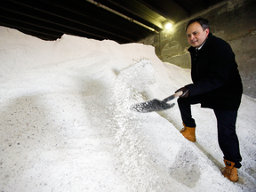 Toronto City councillor Denzil Minnan-Wong stands on a pile of road salt destined for Toronto streets in 2014.