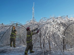 Members of the Baie Sainte Anne Fire Department clear a road so technicians can get to the emergency radio repeater tower to charge the batteries in Escuminac, N.B., on Sunday.