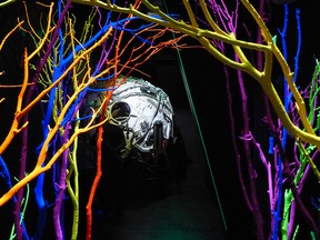 A branch-lined path at Santa Fe's House of Eternal Return leads visitors to a surreal world populated space capsules, mutant plants and more.