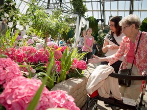 People weary of the long, bleak winter need only visit Edmonton's Muttart Conservatory to be transported into a warm vibrant world of growing colour.