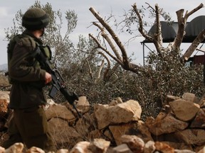 Israeli soldiers patrol next to olive trees that were recently cut to open a new road east of the West Bank town of Qalqilyah on Jan. 8, 2017
