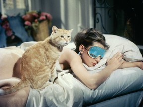 Cat and Audrey Hepburn in Breakfast at Tiffany's.