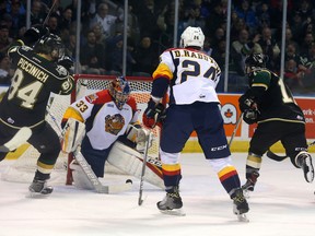 The London Knights sell out 9,000-plus tickets every night.