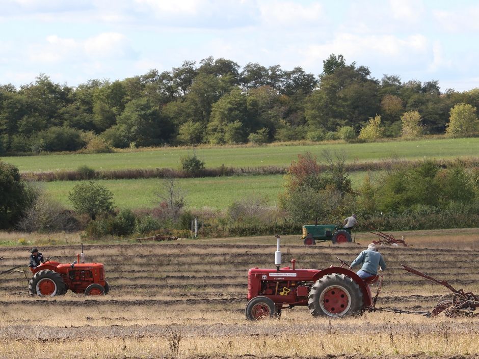 Three levels of government settle dispute over cleaning up landfill