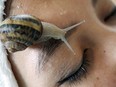 A woman receives a beauty treatment at a snail farm in Chiang Mai province, northern Thailand on Jan. 19, 2015.