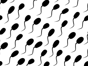 Sperm counts keep falling in the West.