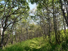 Nestled in the foothills just west Calgary's southern edge are nearly 20 square kilometres of pristine grassland and forest.