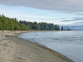 The beautiful scenery and placid waters at Rathtrevor Beach and Park near Parksville have drawn generations of children and relaxed parents.