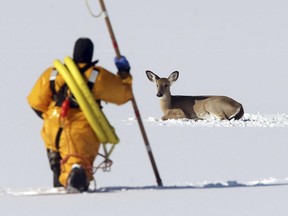 The Roxbury Fire Department and OEM respond Sunday, March 19, 2017, on Mills Pond in Roxbury, N.J., to rescue a deer, which became stuck in a partially frozen pond.