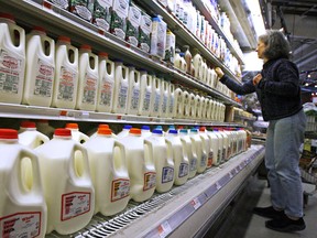A shopper considers the milk aisle
