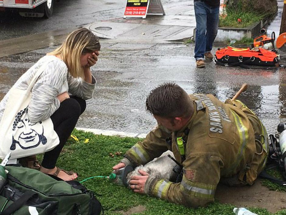 Courtesy of Instagram