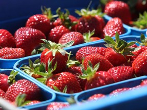 The EWG found 20 different pesticides in a single sample of strawberries — and that was after the berries had been washed.