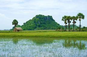 Last year, Vietnam attracted more than 10 million tourists, in part because of its incredible food and unique vistas, such as this view along the Mekong Delta.