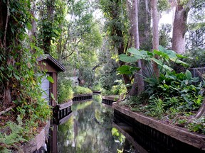 The folks at Winter Park Scenic Boat Tours lead visitors on wonderful tours of Winter Park's many lakes. You also get to cruise through lovely, shady canals; a huge treat on a warm, sunny day.