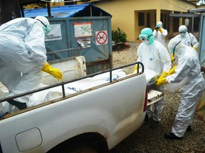 Red Cross workers remove the body of an Ebola victim in Guinea, where a Canadian study found that the drug Interferon may slash Ebola's death rate.
