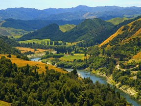 The Whanganui River, New Zealand.