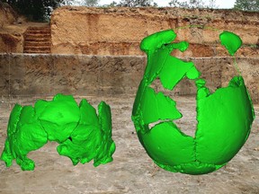 Reconstructions of the skulls superimposed over the site where they were found.
