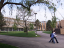 The campus of University of Waterloo, which is on the verge of signing three 
