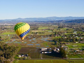 For spectacular views over Sonoma Wine Country, take to the sky with Up & Away Hot Air Ballooning.