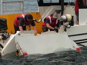 CSIRO engineer Rob Gregor and oceanographer Emlyn Jones release the wing flap into the sea.