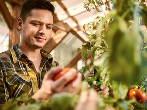 A new study suggests adopting a vegetarian diet won't add extra years to your life