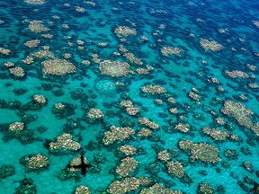 An undated handout photo taken by Ed Roberts and released ARC Centre of Excellence for Coral Reef Studies on April 10, 2017 shows and aerial view of Cairns Townsville bleaching. Coral has been bleached for two consecutive years by warming sea temperatures on Australia's Great Barrier  Reef.