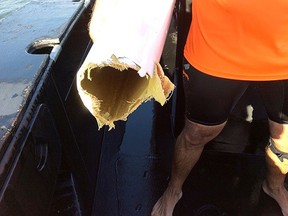 A terrified Australian clung to the remains of his kayak for 40 minutes but survived in one piece after a shark took a huge bite out of the watercraft.