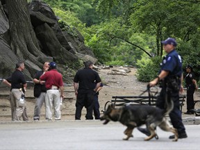 In this July 3, 2016 file photo, emergency officials work near the scene in New York's Central Park where a teenage tourist from Virginia was caught in a blast of a small, clear bag full of highly explosive substances. Who is responsible for the homemade blast that injured 19-year-old Connor Golden, resulting in him losing his left leg below the knee, remains a mystery.