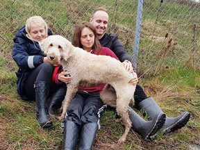 Cooper, an east coast dog that went missing in Ontario for nearly two days after being placed on a wrong flight has been found. Holding Cooper is Terri Pittman.