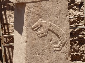 An animal carved into the stone pillars at Gobekli Tepe. The researchers ask the question, "What does the fox say?"