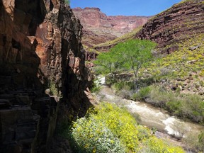 This Sunday, April 16, 2017, photo provided by the National Park Service shows Tapeats Creek in Grand Canyon National Park in Arizona.