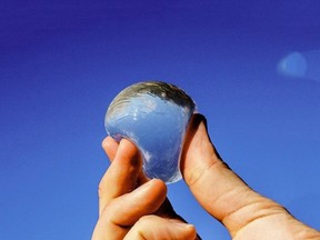 The Ooho is an edible water bottle, but you can compost it if you'd prefer not to swallow it.