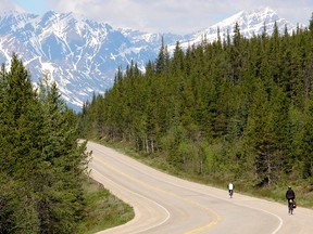 Cyclists on Alberta's Icefields Parkway