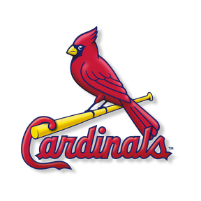 St. Louis Cardinals Glass Mug Stein Cup MLB Baseball NL Central Bird on Bat