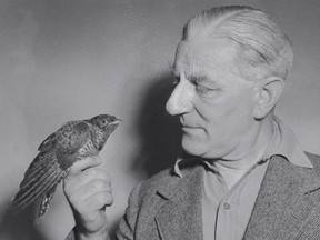 Maxwell Knight and his pet bird