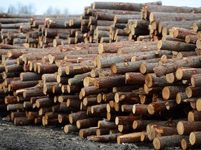 Logs are stacked at Murray Brothers Lumber Company woodlot in Madawaska, Ont. on Tuesday April 25, 2017. Some softwood lumber companies could begin issuing layoff notices as early as next week as the fallout from the new import tariffs slapped onto Canadian softwood by the U.S. government start kicking in.