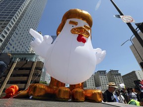 A giant inflatable "Chicken Don" is set up by demonstrators protesting President Donald Trump's failure to release his tax returns and a host of other issues during a march and rally in downtown Los Angeles Saturday, April 15, 2017.