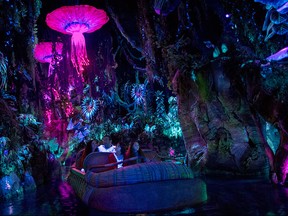 Pandora — The World of Avatar is a 5-hectare "land" opening at Walt Disney World's Animal Kingdom in Lake Buena Vista, Fla. The "Na'vi River Journey" is pictured.